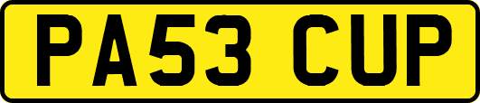 PA53CUP