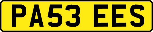 PA53EES