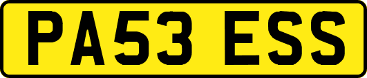 PA53ESS