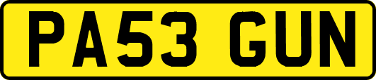 PA53GUN