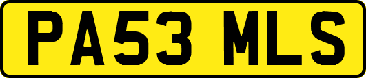 PA53MLS