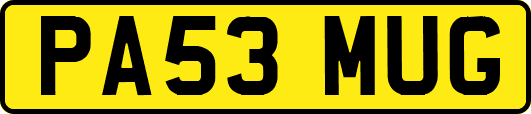 PA53MUG