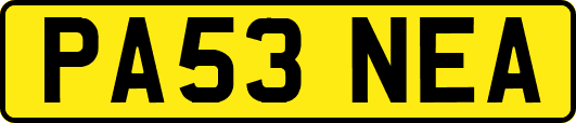 PA53NEA