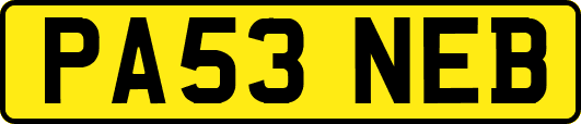 PA53NEB