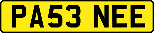 PA53NEE