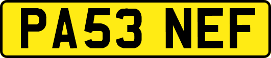 PA53NEF