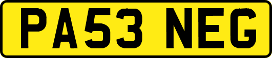 PA53NEG