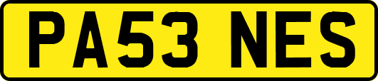 PA53NES
