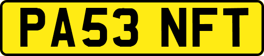 PA53NFT