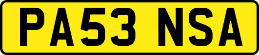 PA53NSA