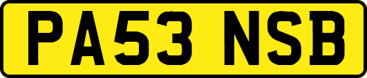PA53NSB
