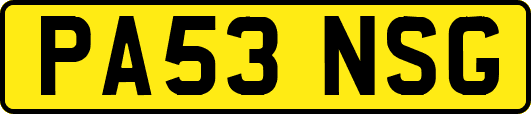 PA53NSG