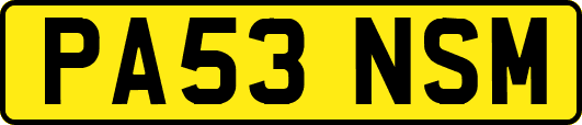 PA53NSM