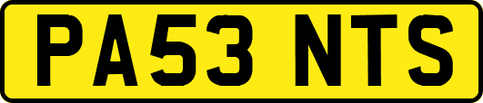 PA53NTS