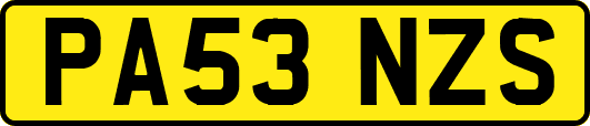 PA53NZS