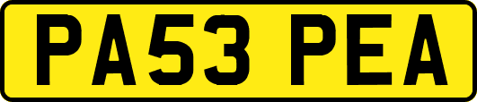 PA53PEA