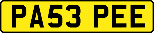 PA53PEE