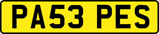 PA53PES