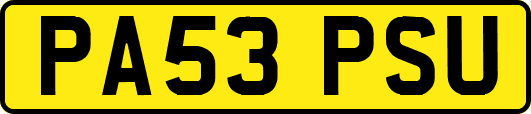 PA53PSU