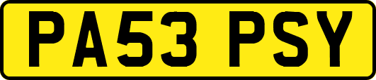 PA53PSY