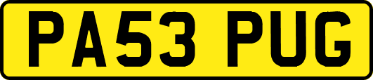 PA53PUG