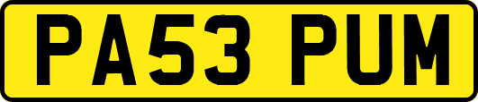 PA53PUM