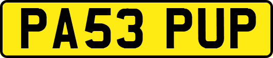 PA53PUP