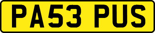 PA53PUS
