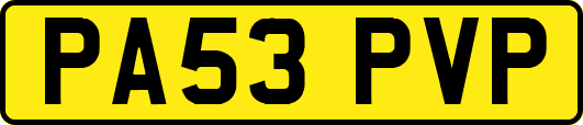 PA53PVP