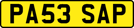 PA53SAP