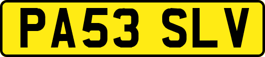 PA53SLV