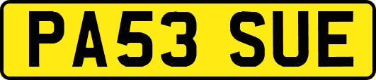 PA53SUE