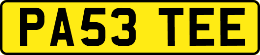 PA53TEE