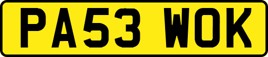 PA53WOK