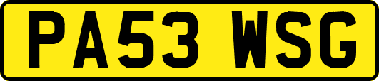 PA53WSG