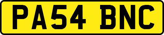 PA54BNC