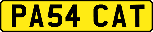 PA54CAT