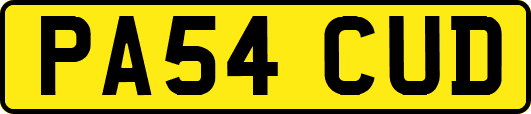 PA54CUD