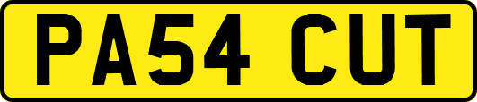 PA54CUT