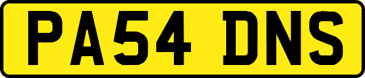 PA54DNS