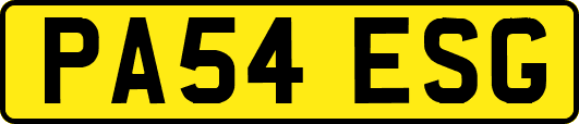 PA54ESG