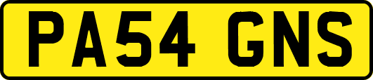 PA54GNS
