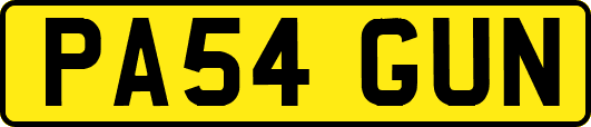 PA54GUN