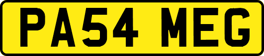PA54MEG