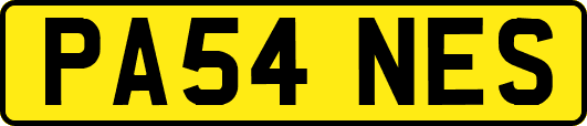 PA54NES
