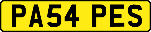 PA54PES