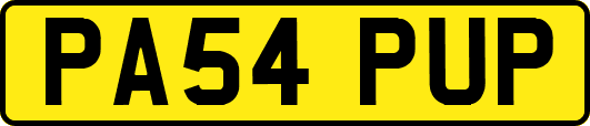 PA54PUP