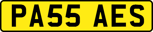 PA55AES