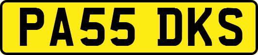 PA55DKS