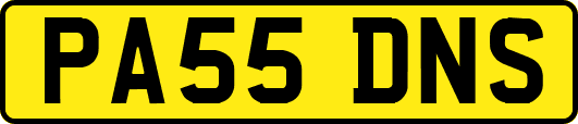 PA55DNS